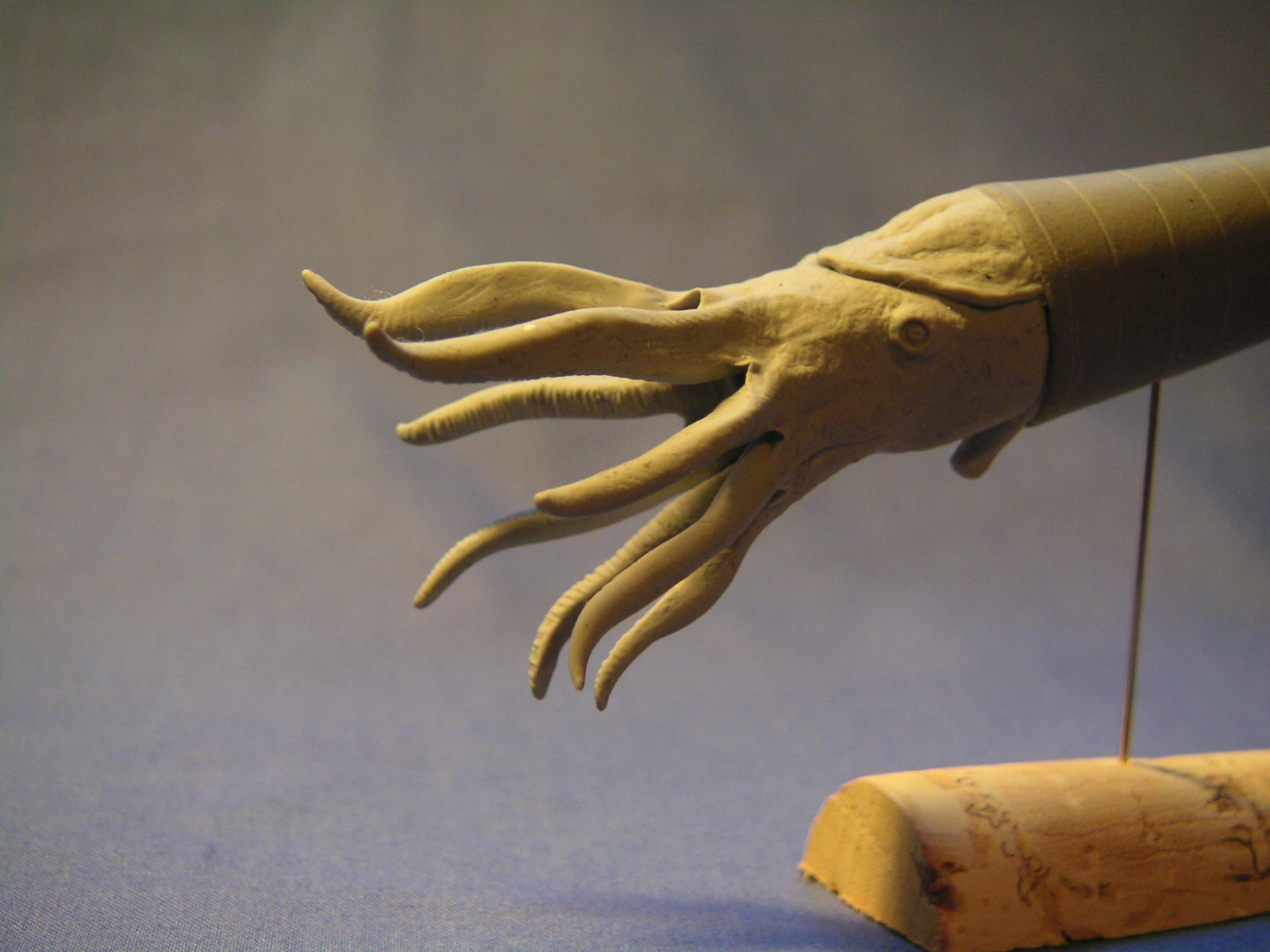 OrthocerasModell Bestiarium