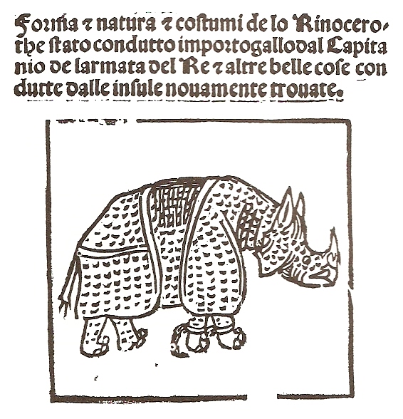 Rhinocerus at Lisbon by Giovanni Giacomo Penni, 1515. Image from Wikipedia